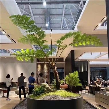 Umjetna Cyathea Cooperi